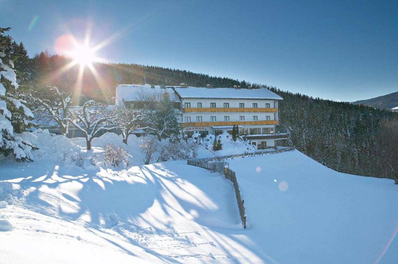 Familiengasthof Pension Oedenhof Sankt Corona am Wechsel Εξωτερικό φωτογραφία